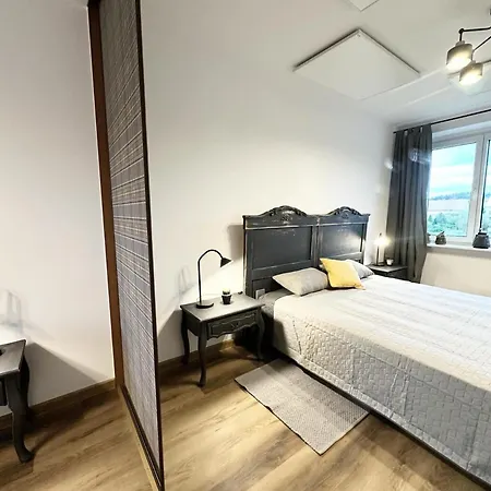 Apartament Antracytowe Wrota Boguszow-Gorce Exterior photo